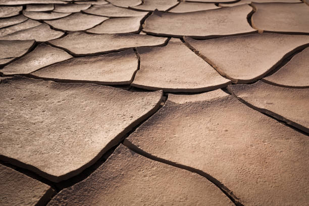 Baked mud tiles form abstract cracks in the hot sun in Death Valley, California