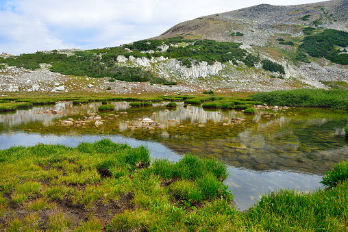 alpine landscape in the Medicine Bow Mountains of Wyoming in summer