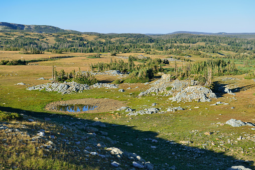 alpine landscape in the Medicine Bow Mountains of Wyoming in summer