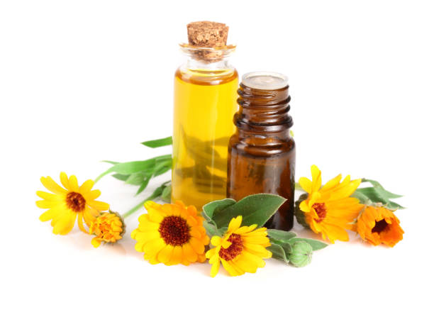 istock aromatherapy essential oil with marigold flowers isolated white background 848417448