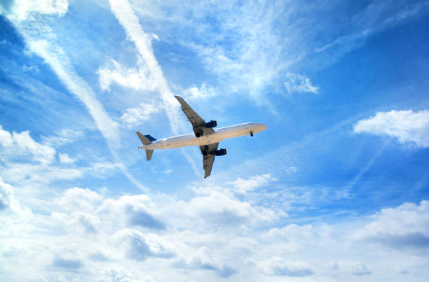 istock Airplane in the sky. Travel concept image 848424200