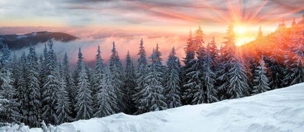istock frosty sunrise in Carpathians 848427390