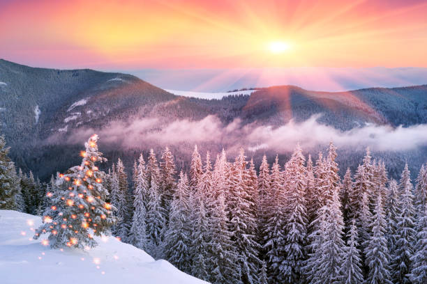 istock frosty sunrise in Carpathians 848428426