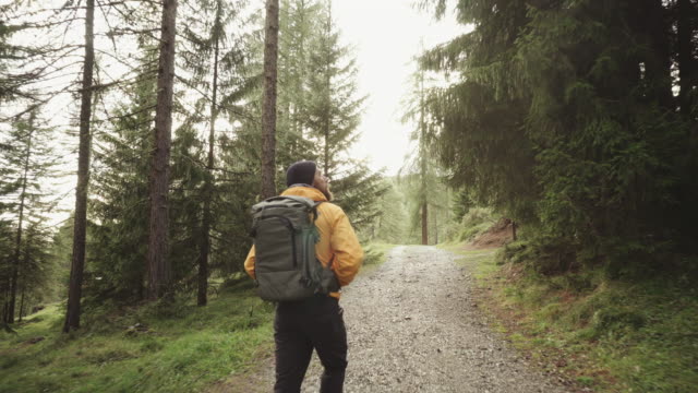 Man hiking and exploring forest area