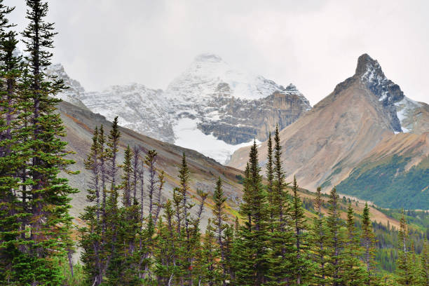 istock Alpine scenery along the Icefields Parkway between Jasper and Banff in Canadian Rockies 848430144