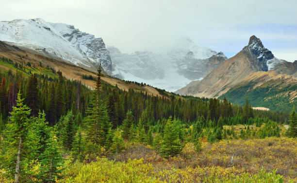 istock Canadian Rockies 848431422
