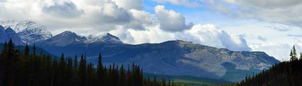 istock Alpine scenery along the Icefields Parkway between Jasper and Banff in Canadian Rockies 848431444