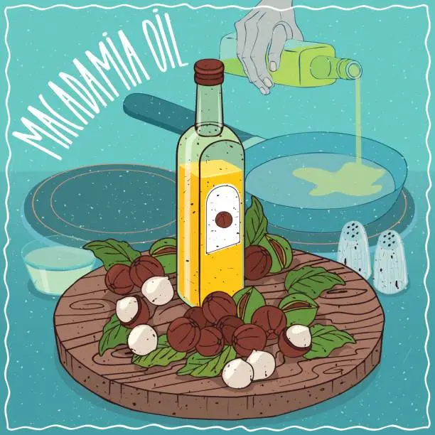 Vector illustration of Macadamia oil used for frying food