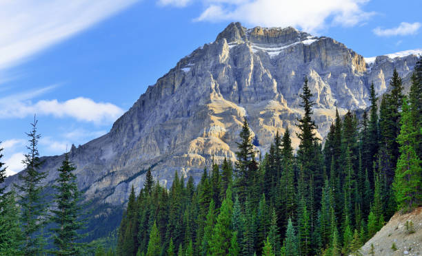 istock Alpine scenery along the Icefields Parkway between Jasper and Banff in Canadian Rockies 848435584