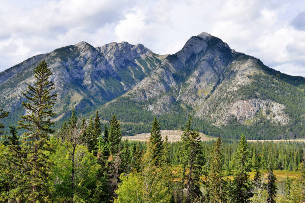 istock Alpine scenery along the Icefields Parkway between Jasper and Banff in Canadian Rockies 848435850
