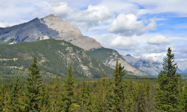 istock Alpine scenery along the Icefields Parkway between Jasper and Banff in Canadian Rockies 848436230