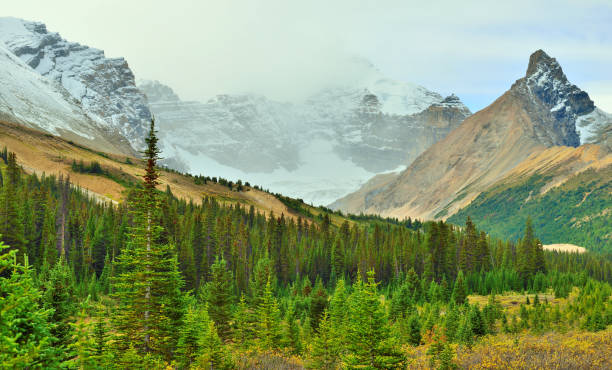 istock Alpine scenery along the Icefields Parkway between Jasper and Banff in Canadian Rockies 848441104