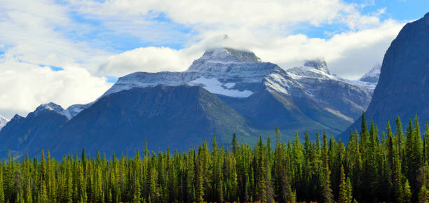 istock Alpine scenery along the Icefields Parkway between Jasper and Banff in Canadian Rockies 848441268