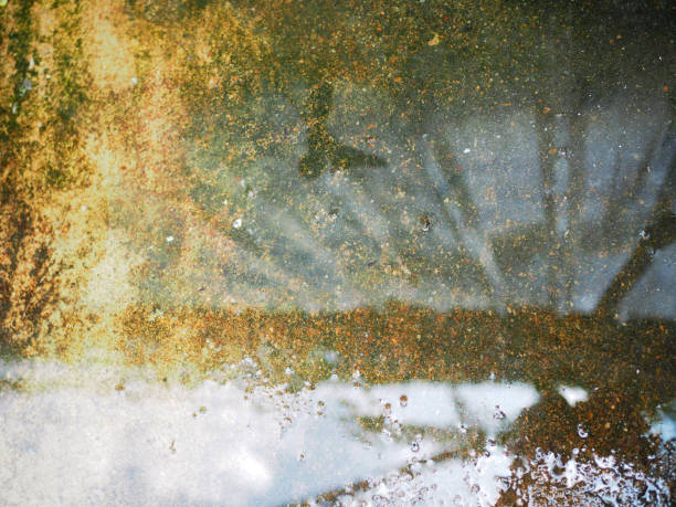 Shimmering sunlight under an old bridge.