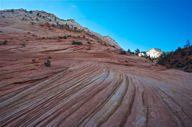 Red sandstone formations and green trees along Canyon Overlook Trail in Zion National Park. Rugged cliffs rise under a deep blue sky with white clouds