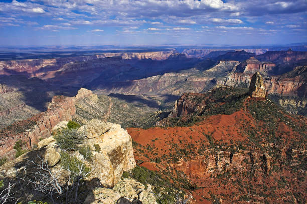 Grand Canyon North Rim Grand Canyon, Sunset, Arizona, North Rim, Cape Royal cape royal stock pictures, royalty-free photos & images