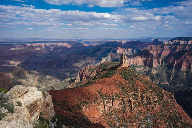 istock Grand Canyon North Rim 848459196