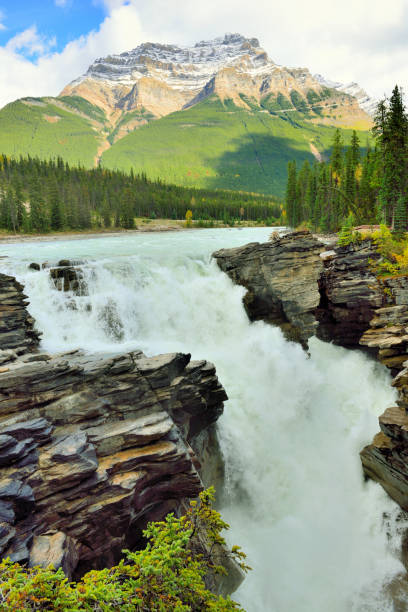 istock Waterfall along the Icefields Parkway in the Canadian Rockies between Banff and Jasper 848467196