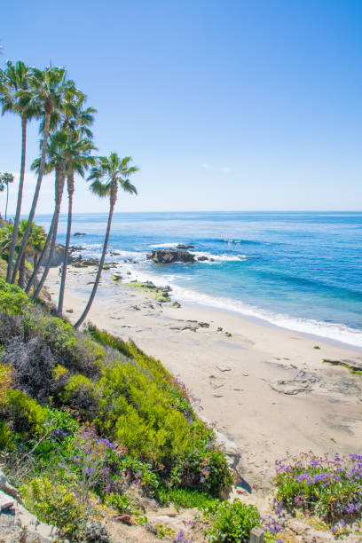 istock Beautiful Heisler Park, Laguna Beach, California 848467468