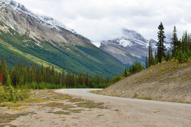 istock Road through the Canadian Rockies 848467540