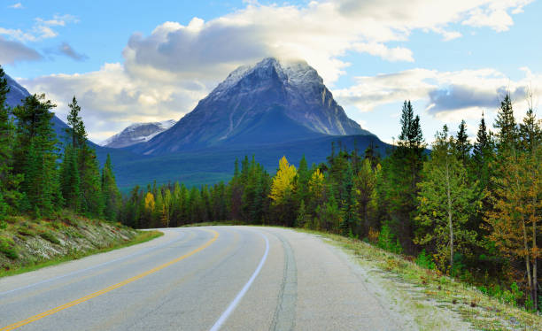 istock Highway through the Canadian Rockies along the Icefields Parkway between Banff and Jasper 848467576