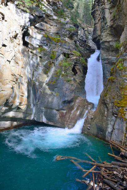 istock Waterfall along the Icefields Parkway in the Canadian Rockies between Banff and Jasper 848467700