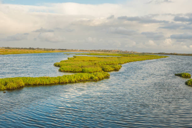istock Bolsa Chica Wetlands, Huntington Beach 848467804