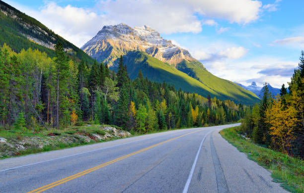 istock Highway through the Canadian Rockies along the Icefields Parkway between Banff and Jasper 848470210