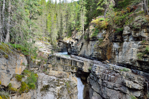 istock Waterfall along the Icefields Parkway in the Canadian Rockies between Banff and Jasper 848470592