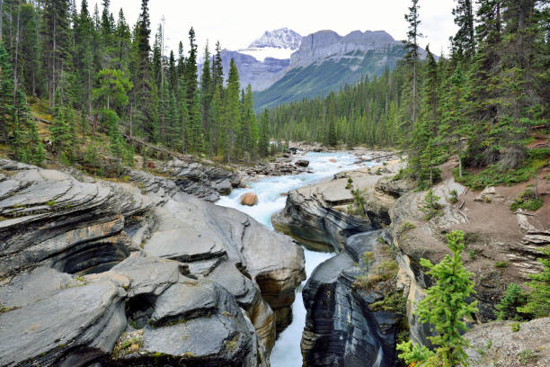 istock Waterfall along the Icefields Parkway in the Canadian Rockies between Banff and Jasper 848470692