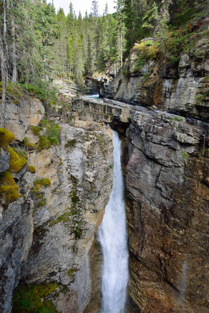 istock Waterfall along the Icefields Parkway in the Canadian Rockies between Banff and Jasper 848471228