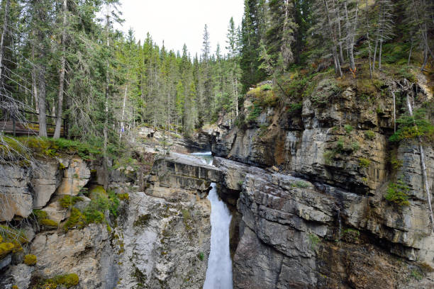 istock Waterfall along the Icefields Parkway in the Canadian Rockies between Banff and Jasper 848471534