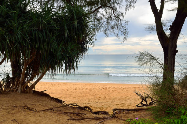 istock Beautiful beach with blue sky at Mai khao beach, Phuket, Thailand 848474406