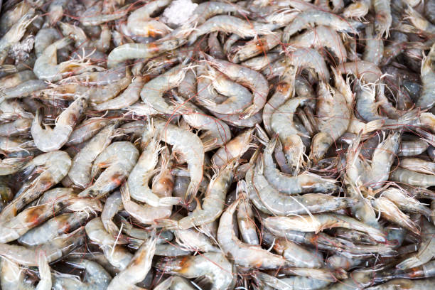 istock Shrimp in the fresh market 848477720