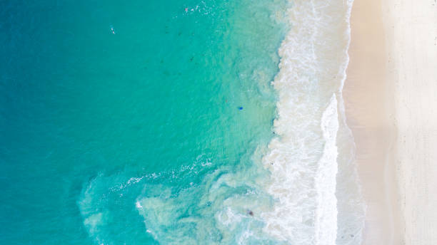 istock Aerial View of Crystal Cove State Beach 848481704