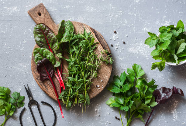 Fresh garden herbs - tarragon, chard, mint, celery, spinach, thyme on the cutting board and vintage scissors on a gray background, top view. Flat lay