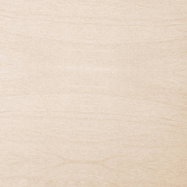 istock Wood texture background, detail close up 848492400