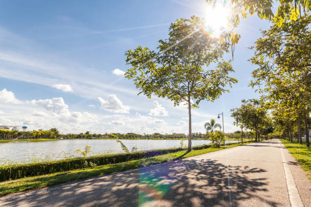 istock Walkway in park. Landscape with jogging track at green park 848504962