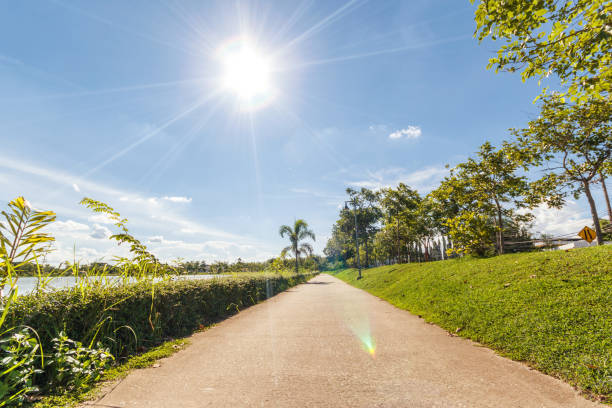 istock Walkway in park. Landscape with jogging track at green park 848504970