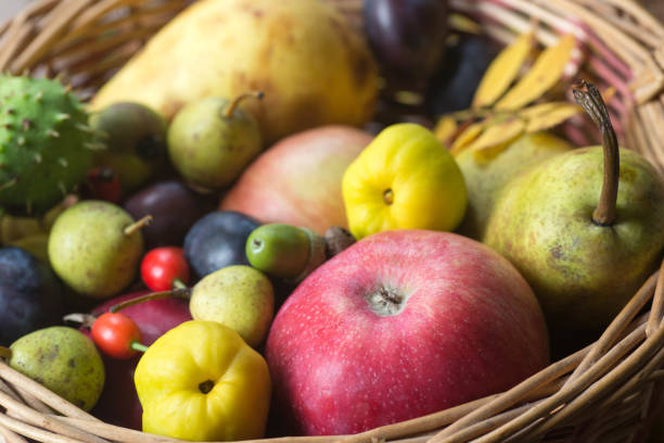 istock fall fruits in basket still life 848539064