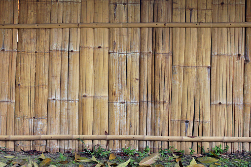 The bamboo wall of thailand
