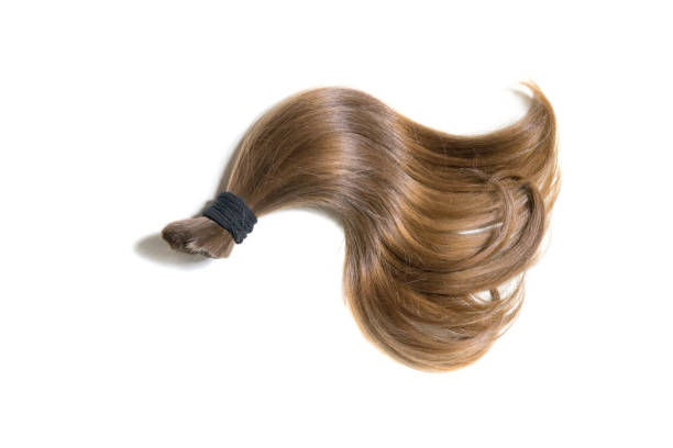 istock Natural hair on a white background 848550168