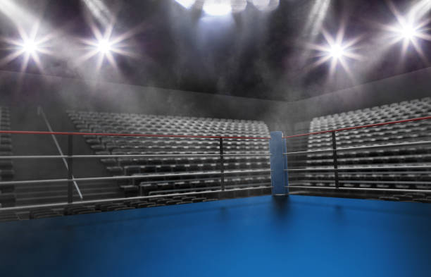 istock Empty boxing ring in arena, spot lights, smoke and dark night scene 848550662