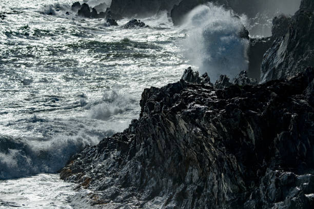istock tsunami tropical hurricane on the sea 848550806