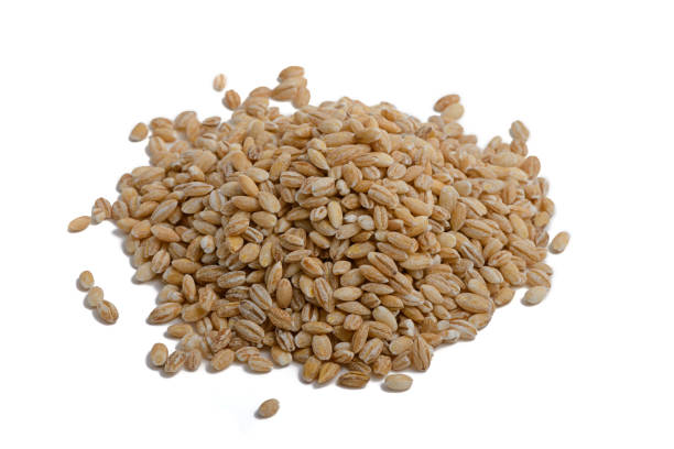 istock grains of barley on a white background 848554418