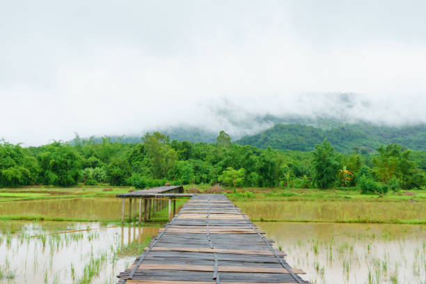 istock Background of mountain and mist with bridge landscape 848571462