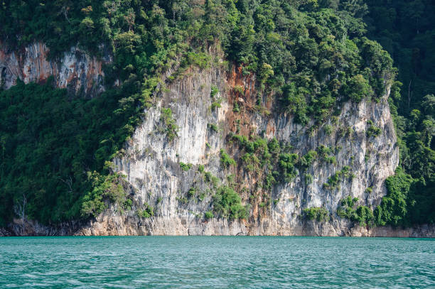 istock trees on a hill in a lake 848571598