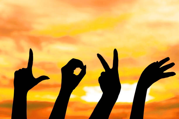 istock Silhouette hand with LOVE alphabet shape gesture on sunset background 848577354
