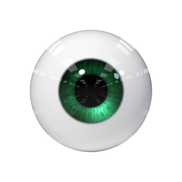 œil humain avec iris vert isolé sur fond blanc - huge eyes photos et images de collection