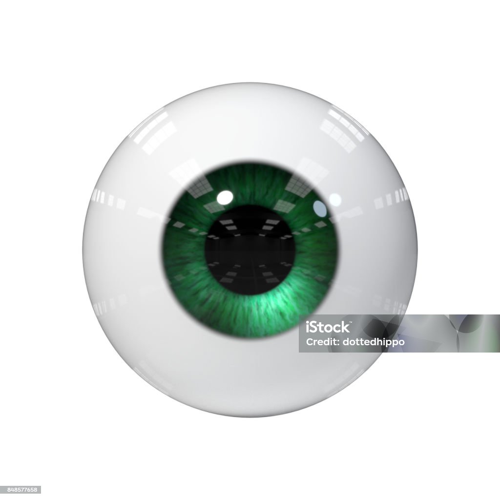 human eye with green iris isolated on white background stylized green eye isolated on white background Eyeball Stock Photo